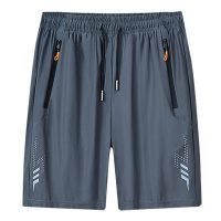 O1CN01yO1iZa1ia4ccn0VF6_2206697524428-0-cib-1.jpg