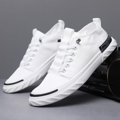 men’s canvas shoes