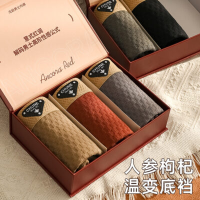 New Men’s Cotton Panties